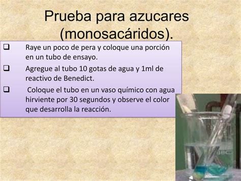 Biomoleculas Ppt