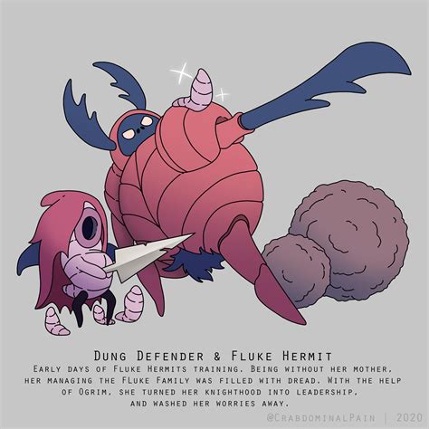 Post-Radiance: Dung Defender Training the Fluke Hermit : r/HollowKnight