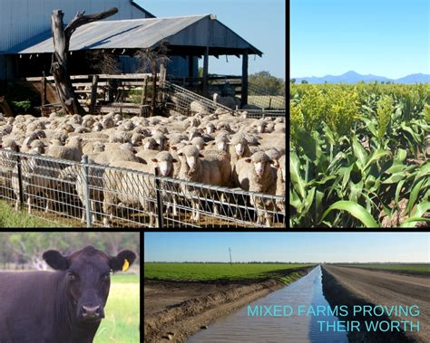 Mixed Farms Proving Their Worth