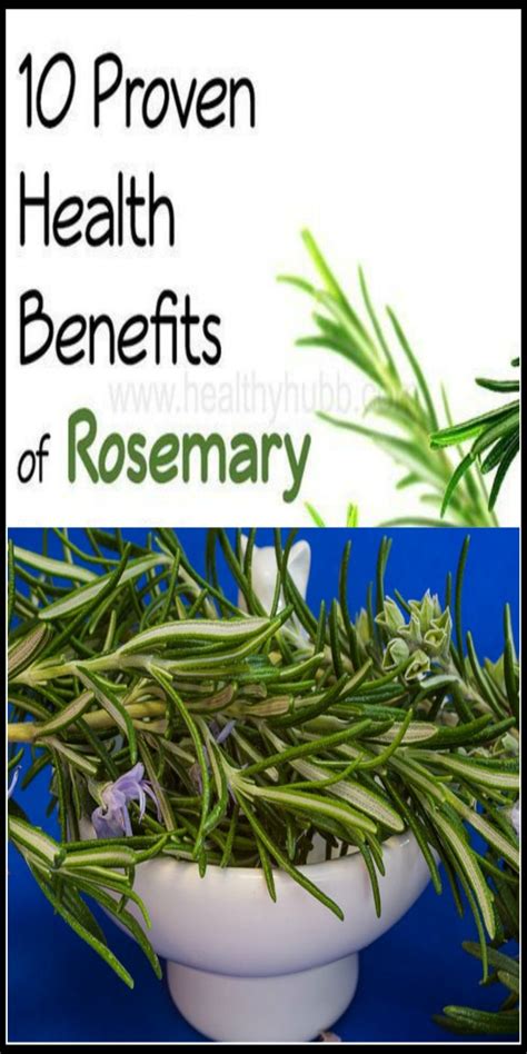 10 Proven Health Benefits Of Rosemary Health Health Benefits Natural Healing