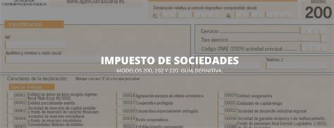 Crear Sociedad Sin Ser Aut Nomo Gu A Completa