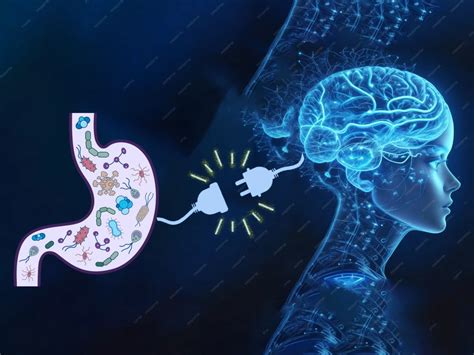 The Mind Gut Connection How Your Gut Bacteria Influence Your Brain