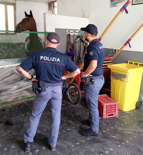 TASK FORCE DELLA POLIZIA DI STATO PER CONTRASTARE LE CORSE CLANDESTINE