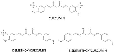 Ijms Free Full Text A State Of The Art Of Antioxidant Properties Of