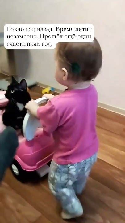 Дочка. архив #цирк #дочка #кот #кошка #кострома - YouTube