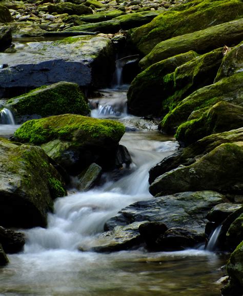 Bildet Landskap Tre Natur Skog Stein Foss Lita Elv Bekk