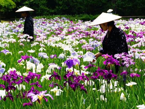 Iris And Women Smithsonian Photo Contest Smithsonian Magazine