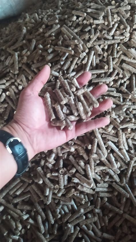 Best Price Viet Nam En Plus A1 Wood Pellets Wood Pellet Size 6mm