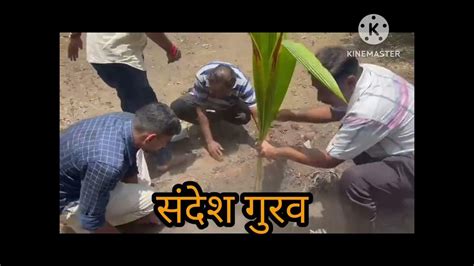 जागतिक पर्यावरण दिनानिमित्त १०१ नारळवृक्ष लागवड Youtube