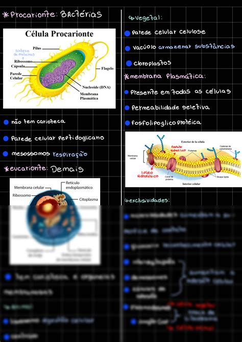 SOLUTION Tipos de célula Resumo Studypool