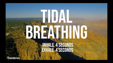 Tidal Breathing 4 In 4 Out 7 5 Breaths Per Minute YouTube