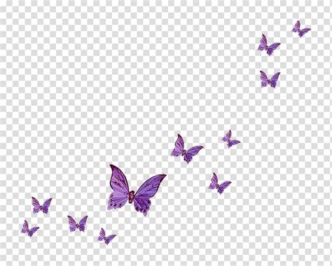 Purple Butterflies Illustration Fly Butterfly Butterfly Transparent