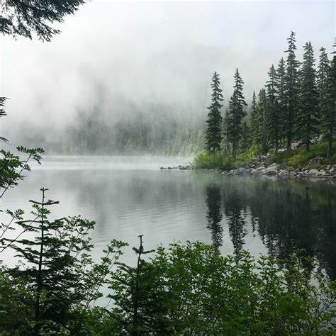 Pin De Michel Perot En Foret En 2024 Hermosos Paisajes Paisajes