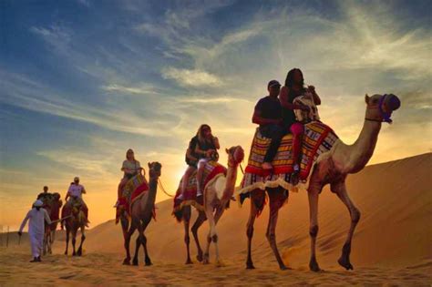 Dubai Camel Safari (Desert Safari with Camels!) Foreign Destinations