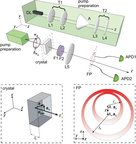 Experimental Setup Back Beam Preparation Apparatus Front Photon