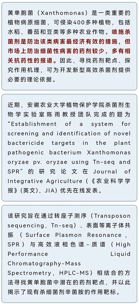 安徽农大陈雨教授团队基于tn Seq和spr对新型杀菌剂在水稻黄单胞菌中作用靶点筛选与鉴定的体系建立农化专利网