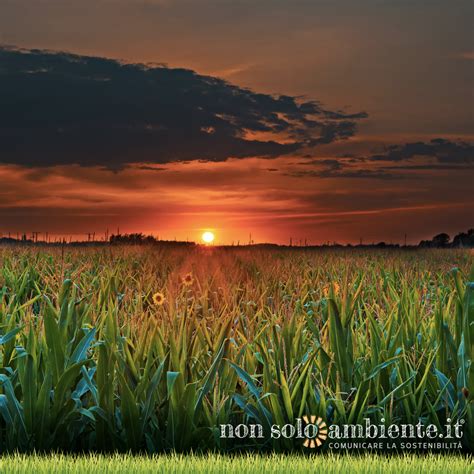 Cambiamo Agricoltura Una Nuova Pac Post Nonsoloambiente