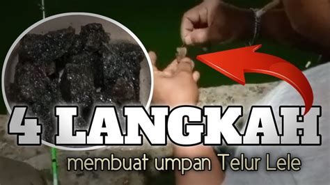 Langkah Membuat Racikan Media Telur Lele Umpan Lele Terjitu Youtube