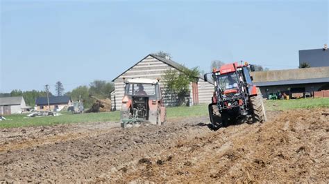 Ci Gniki Na Jednym Polu Obornik I Orka X Zetor Case