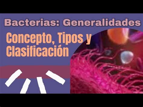 Generalidades De Las Bacterias Concepto Tipos Clasificaci N Y