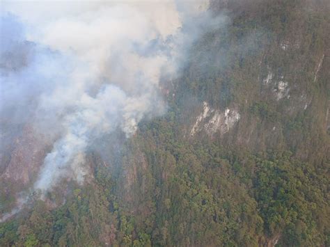 Continúan labores para extinguir incendio forestal en Quimixtlán