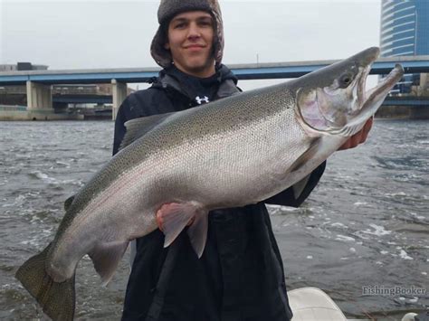 How To Fish For Salmon In Michigan Rivers Unique Fish Photo