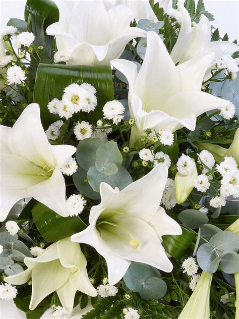 White Lily Spray Arbour Blooms Florist