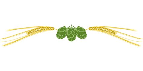 Hops Barley Beer - Free vector graphic on Pixabay