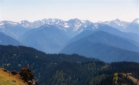 The best Hurricane Ridge hike in Olympic National Park