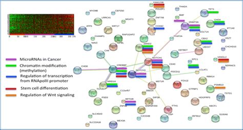 Machine Learning Reveals Correlations Of Gene Expression In Rna Seq Data Rna Seq Blog