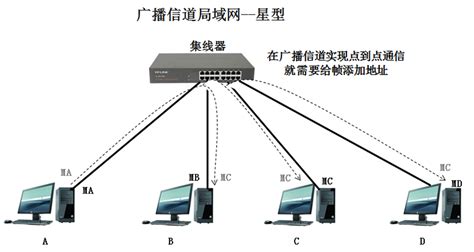 05 数据链路层 53 广播信道的数据链路层 《计算机网络》 极客文档