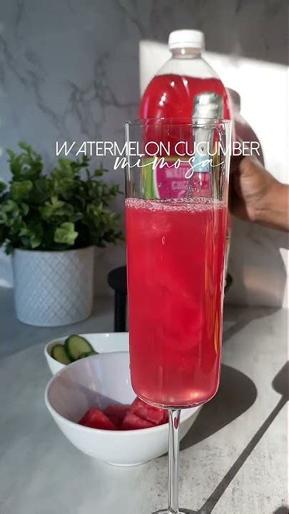 😍🍉🍸 Watermelon Cucumber Mimosa Shorts Cocktailsathome Cocktail