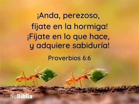 151 Proverbios bíblicos Su Biblia