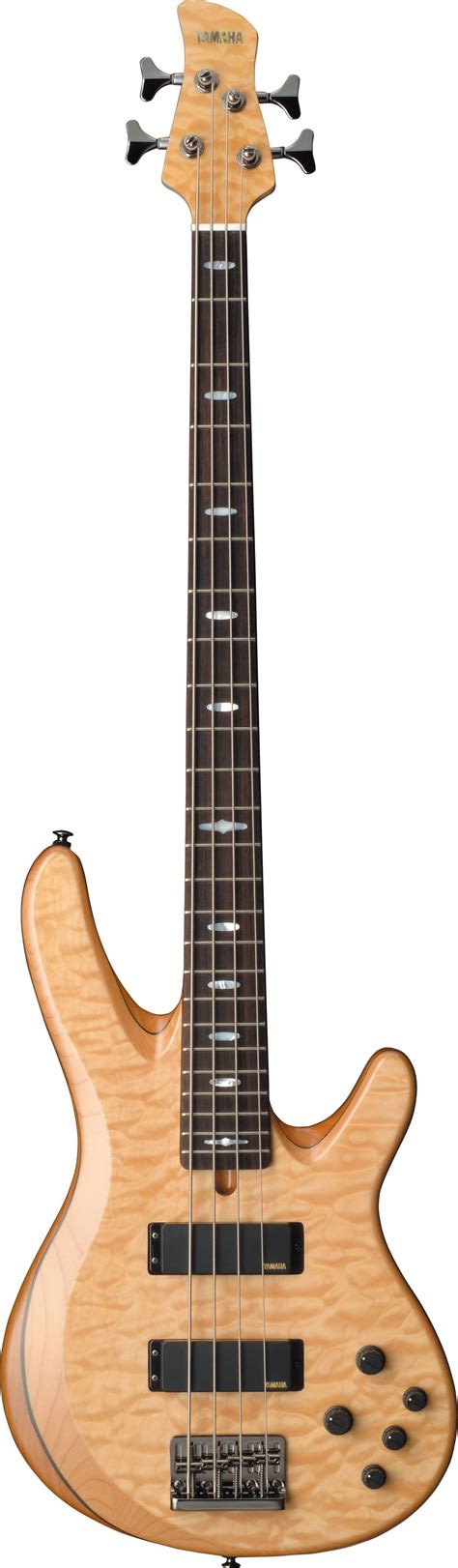 Trb Overview Electric Basses Guitars Basses And Amps Musical Instruments Products