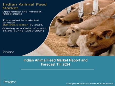 Indian Animal Feed Market Report Industry Trends Growth Share Siz