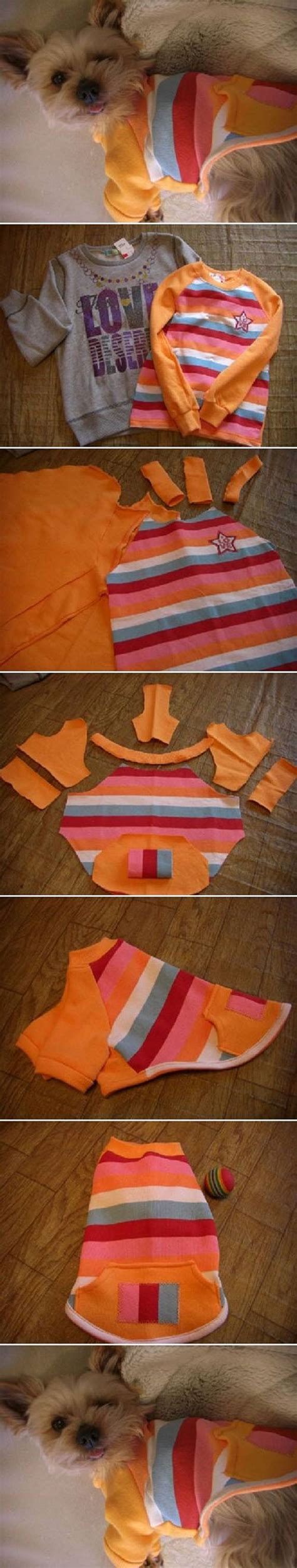 Easy DIY Dog Sweater | Best DIY Ideas