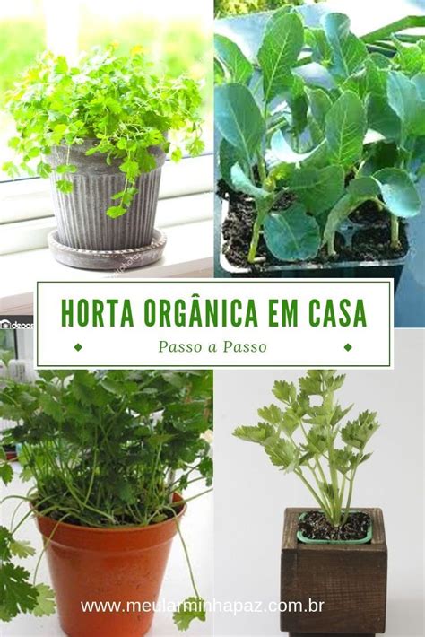 Horta Org Nica Caseira Vegetais Que Voc Pode Plantar Em Casa