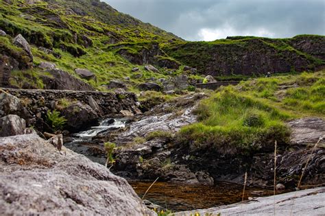 River Stream Field - Free photo on Pixabay - Pixabay