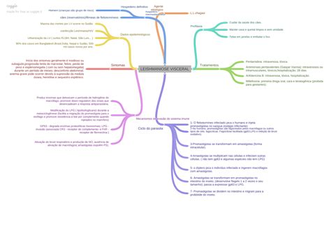 Mapa Mental Leishmaniose Visceral Parasitologia Humana Images And