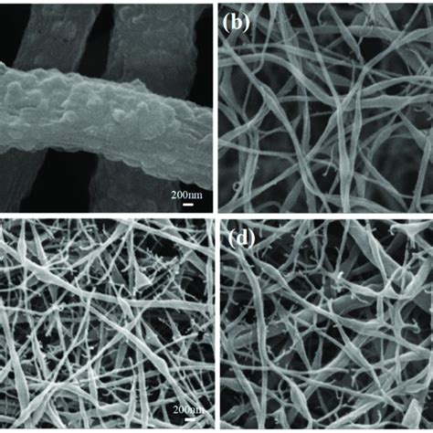 SEM Images Of PVDF Nanofiber Membranes With Different Concentrations