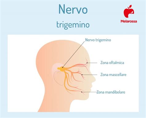 Nevralgia Del Trigemino Che Cos Sintomi Diagnosi E Cura