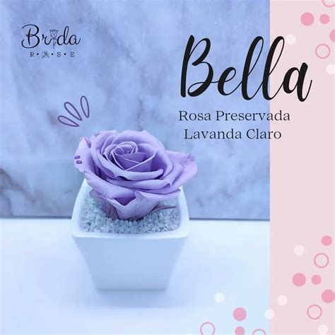 Brida Rose Arreglos Con Rosas Directorio Empresarial Internacional Hey