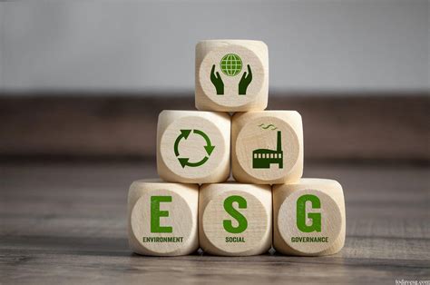 ESG数据评级工作组发布行业行为准则 ESG信息网