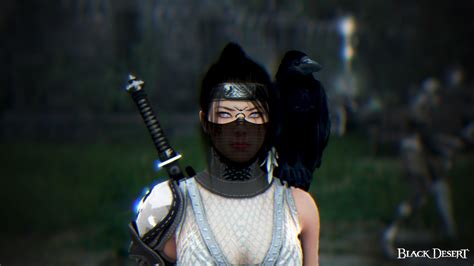 Feedback Make Kunoichi Helmet Mask Opaque When Dyed Black Desert Na Eu