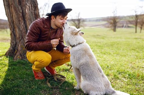 Husky lamiendo la cara de su dueño Foto Premium