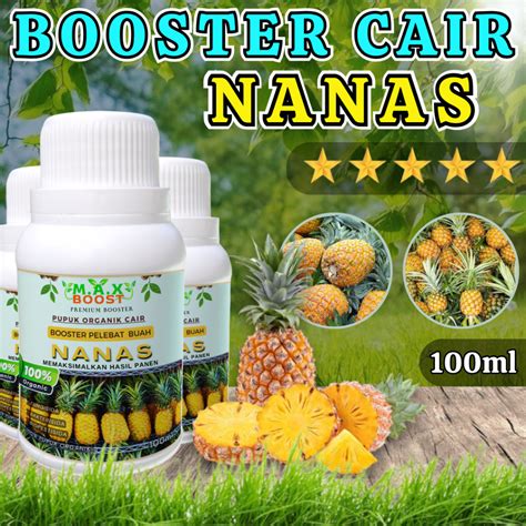 Jual Pupuk Organik Cair NANAS Booster Nanas Membatu Mempercepat