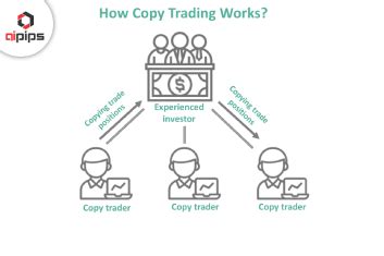 What Is Copy Trading And How Does It Work Aipips