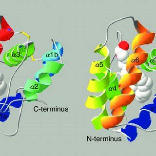 1 Three-dimensional structure of Bombyx mori PBP BmorPBP1 (1DQE ... 
