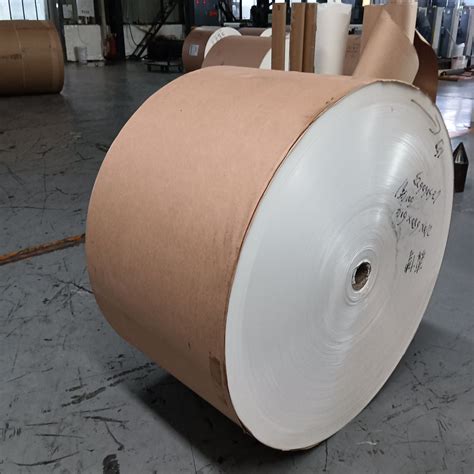 Waterproof Customized Double Wall Cost Effective Pe Coated Paper Roll