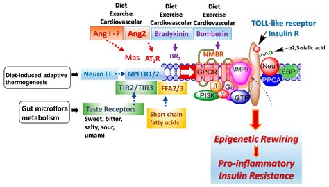 Biomolecules Free Full Text Restoring Epigenetic Reprogramming With